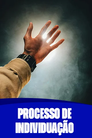 Capas-de-modulos-11