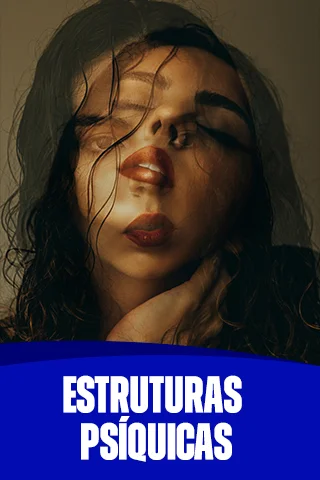 Capas-de-modulos-12