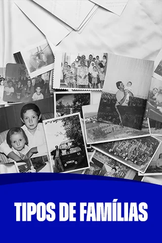 Capas-de-modulos-7-1